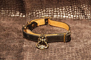 OR-005
