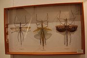 09-003