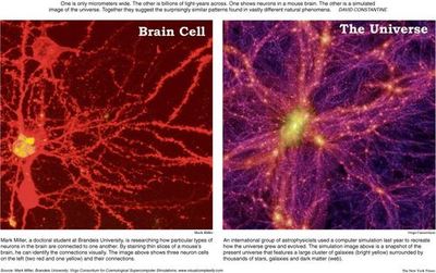 脳と宇宙.jpg